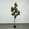 Realistic Faux Potted Croton Plant Unique Artificial Tree 60cm-210cm
